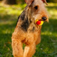 Игра - Игра