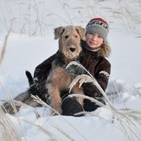 Эрдельтерьеры &raquo; Шэр Лоренс Фон Терьер