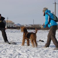 На тренировке - На тренировке