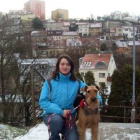 В Брно на тихой улочке - В Брно на тихой улочке