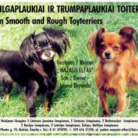 Русские тои &raquo; Елена Доронда