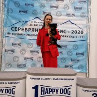 Заслуженная победа - Заслуженная победа. С любимой хозяйкой Алсу.
РОО «ФЕДЕРАЦИЯ СПОРТИВНО-ПРИКЛАДНОГО СОБАКОВОДСТВА РЕСПУБЛИКИ ТАТАРСТАН» 25 октября 2020 года Интернациональная выставка CACIB в Казани "СЕРЕБРЯНЫЙ ИРБИС – 2020". ... Место проведения: ОАО "Казанская ярмарка", Оренбургский тракт, 8, павильон № 3. Судья Сергей Зарецкий. Минск, Беларусь. JCAC, ЮЧРКФ, ЛЮ.